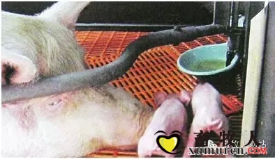 周2.webp.jpg