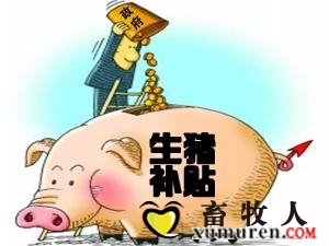 生猪补贴.jpg