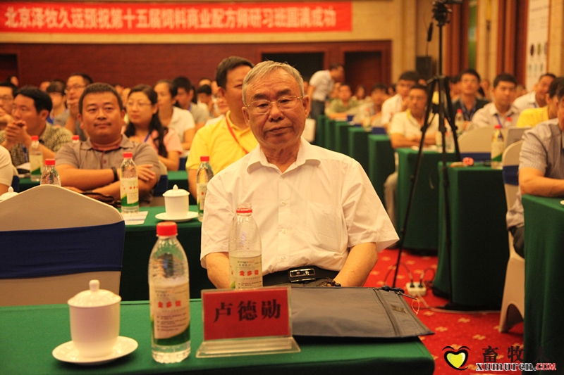卢老在现场_副本.jpg