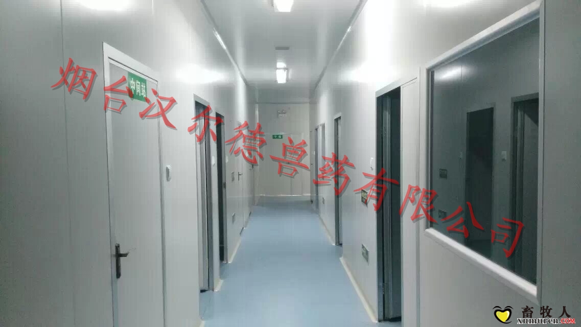 厂房 (4).jpg