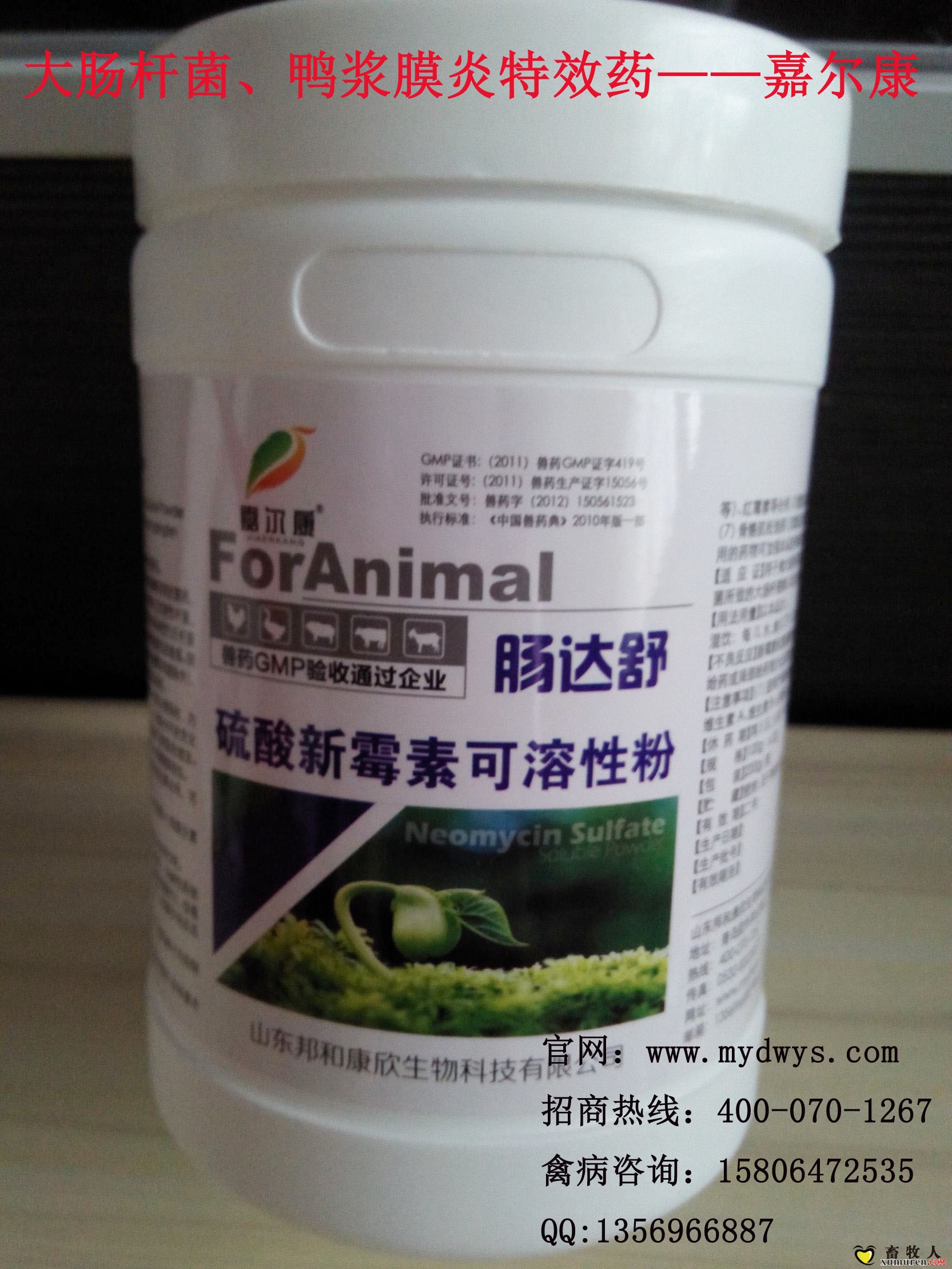 鸭传染性浆膜炎的症状是什么样的