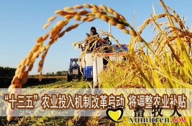 改革.jpg