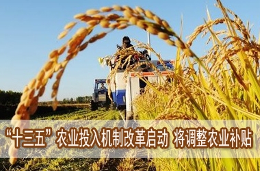 2016年中央将对农业补贴政策进行重大改革