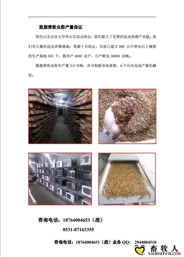脱脂黄粉虫粉代替鱼粉6