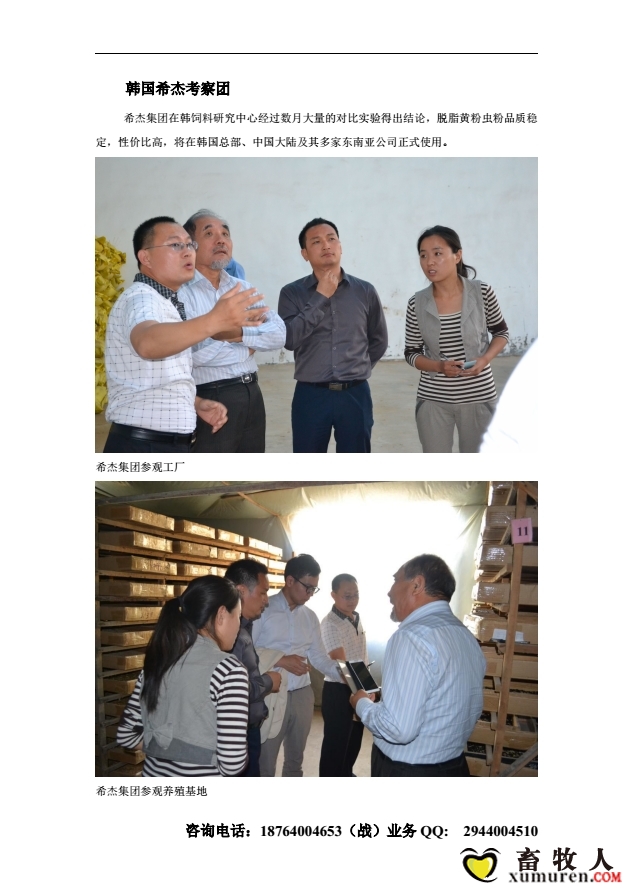 脱脂黄粉虫粉代替鱼粉9