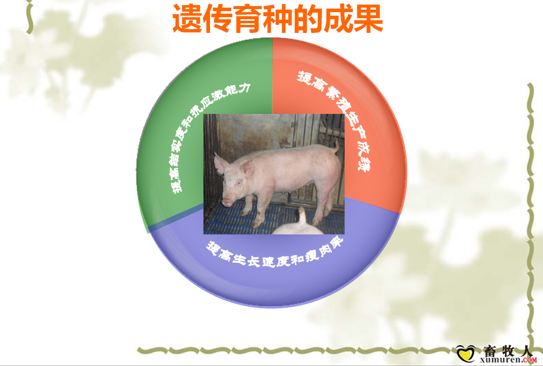 课件2.png