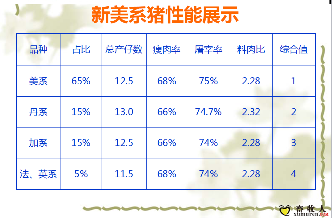 课件6.png