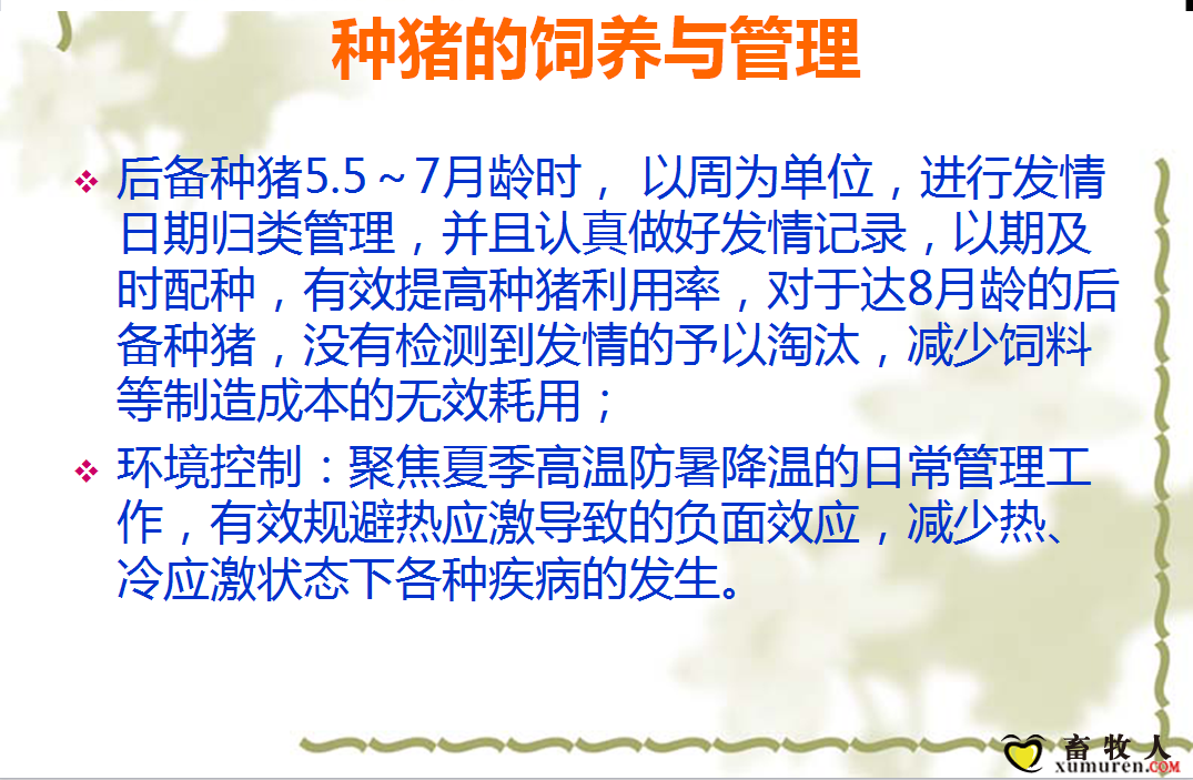 课件8.png