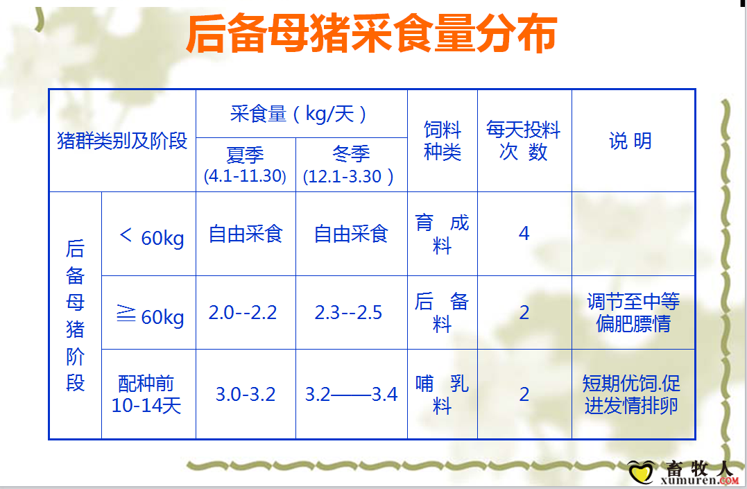 课件10.png