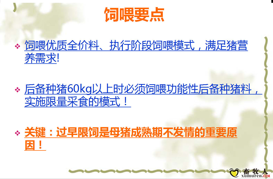 课件11.png