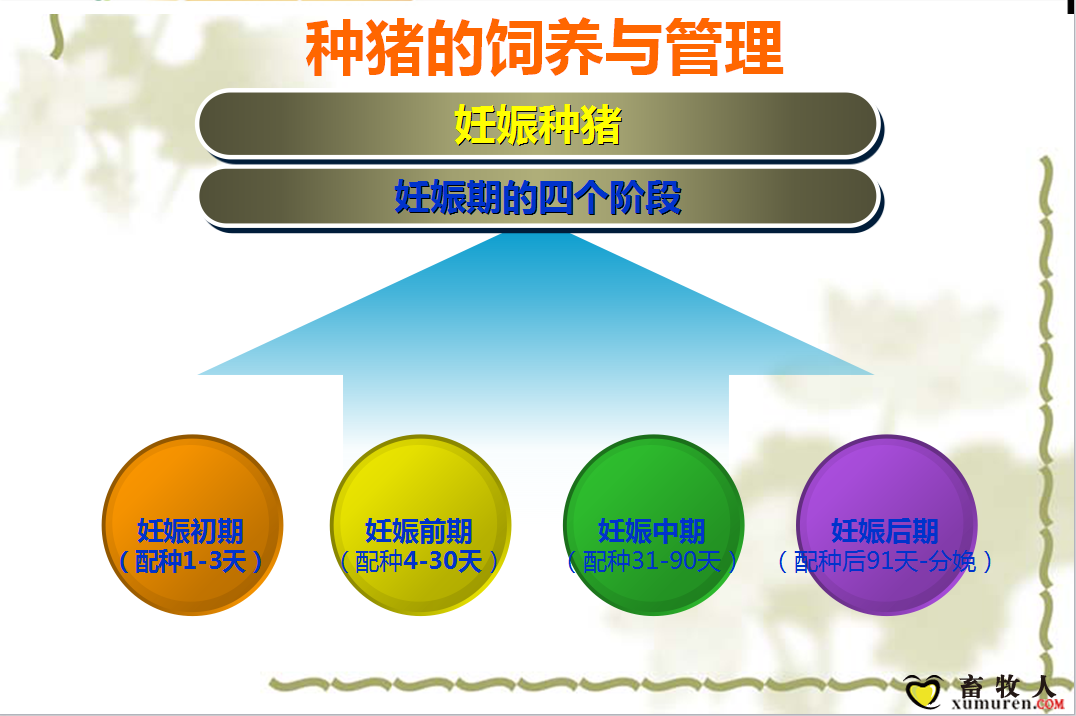课件12.png