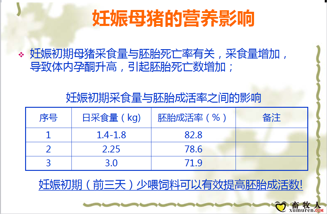 课件13.png