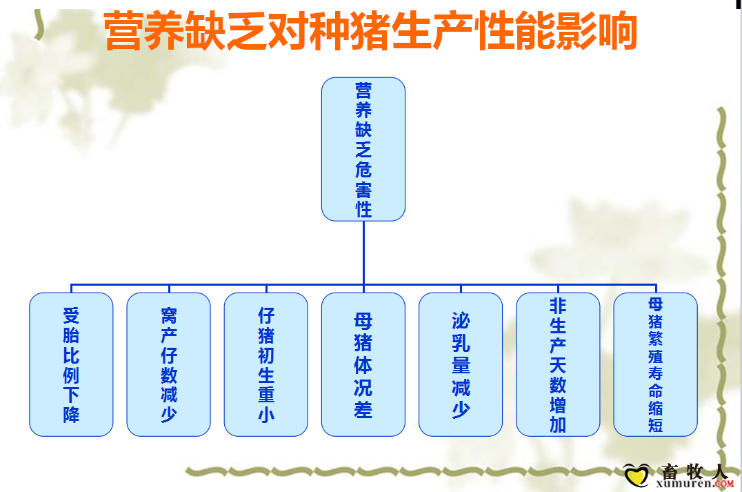 课件17.png