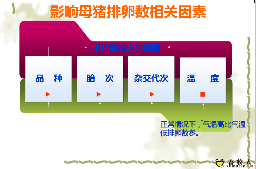 课件18.png