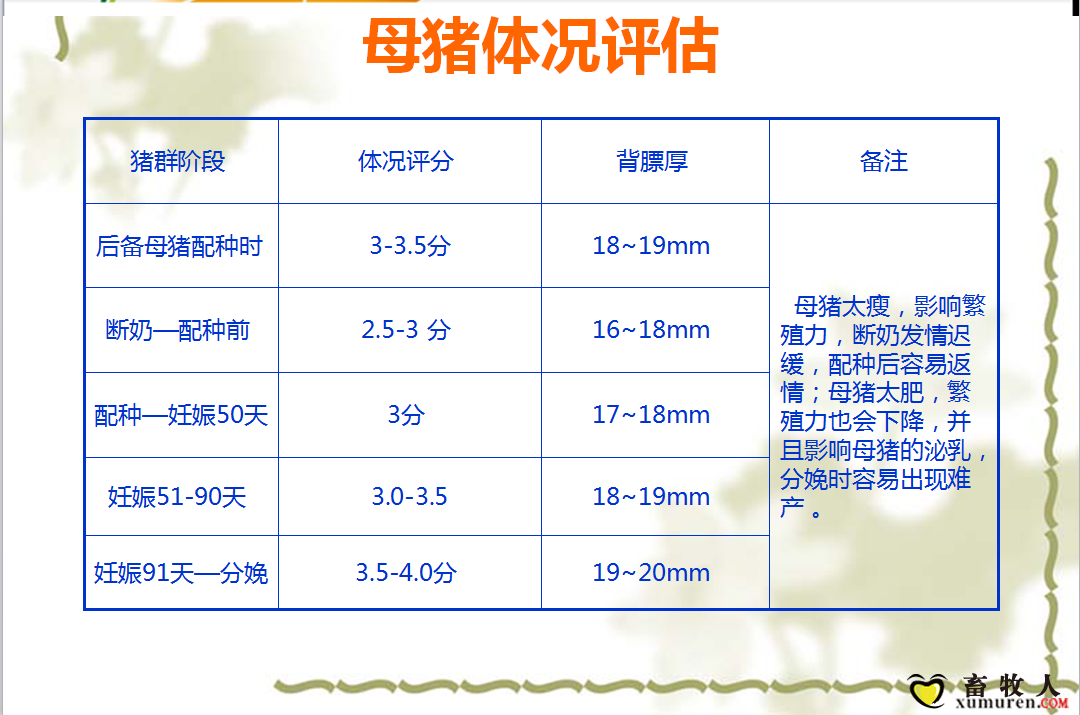 课件19.png