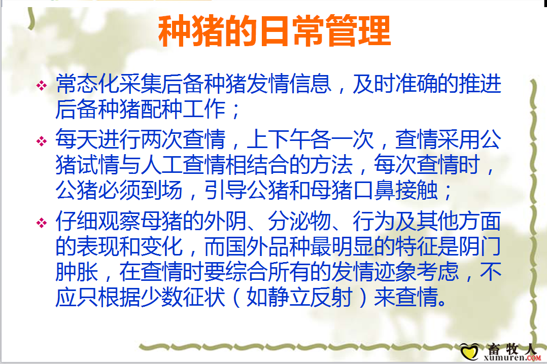 课件21.png