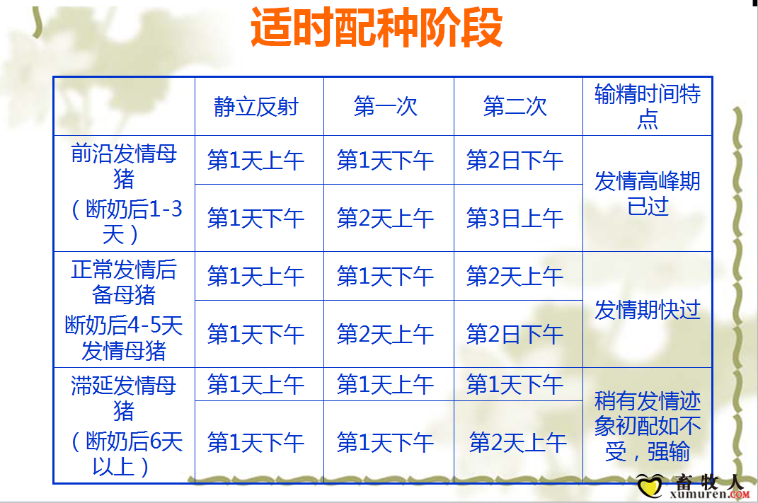 课件23.png