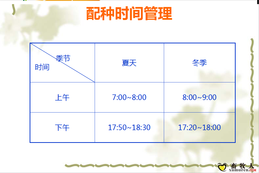 课件24.png