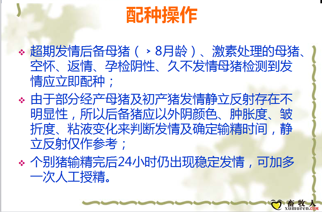 课件25.png