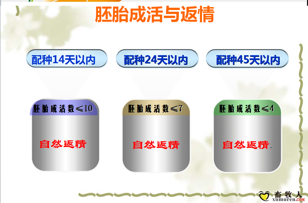 课件29.png