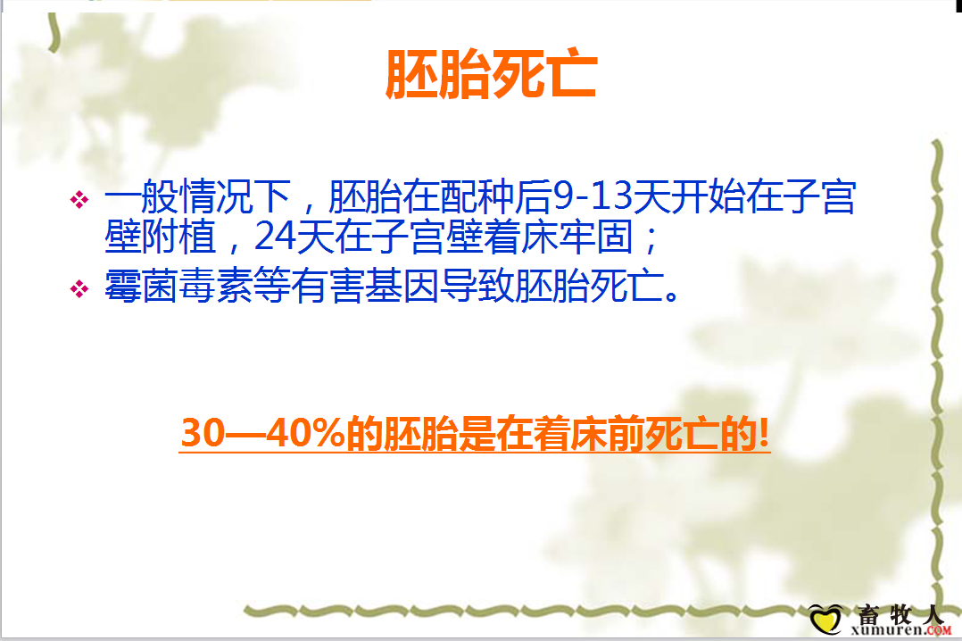 课件30.png