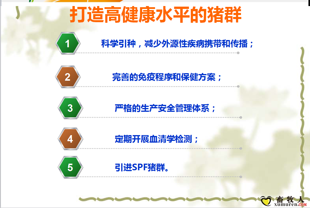 课件31.png