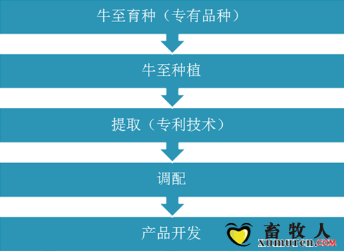 3_副本.png