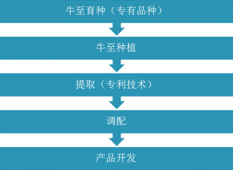 3_副本.png
