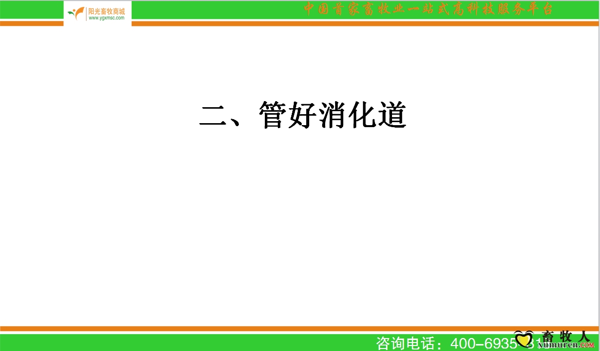 河北地邦5.png