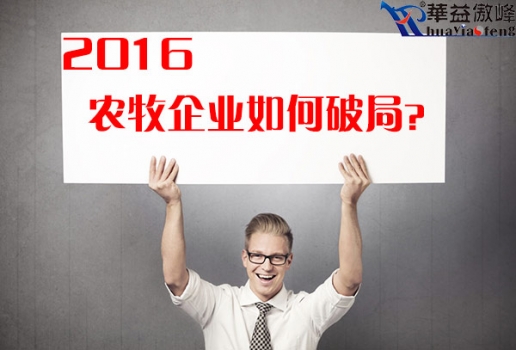 2016-你如何选择.jpg
