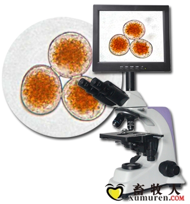 农林810R产品图片.jpg