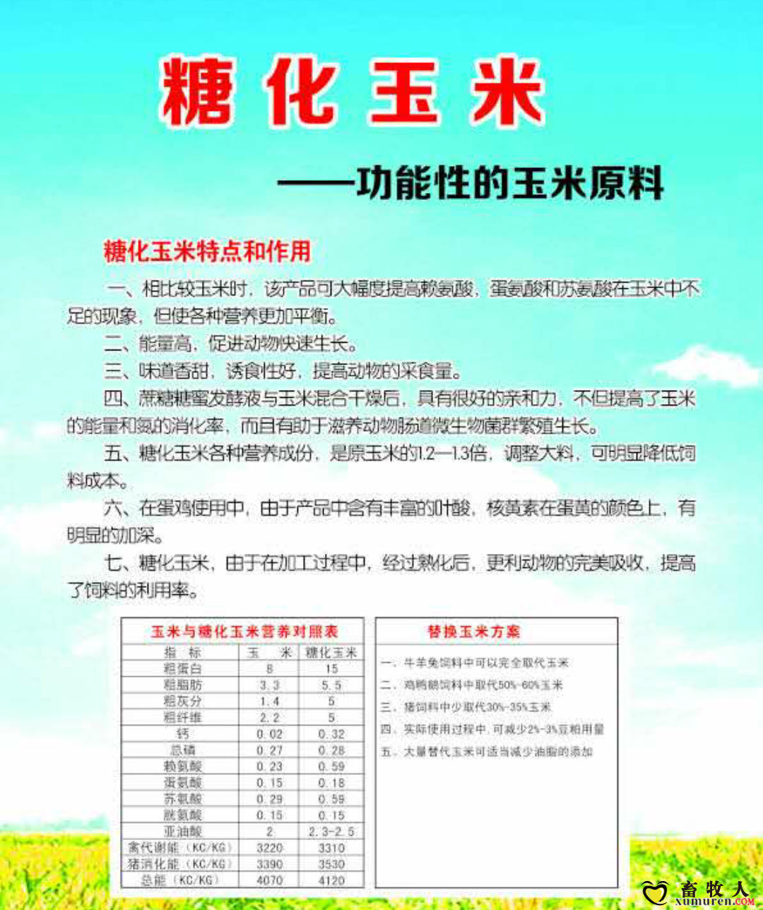 糖化玉米1_看图王.png