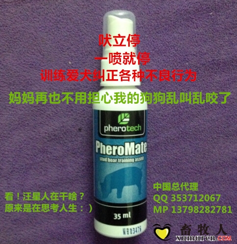 吠立停.jpg