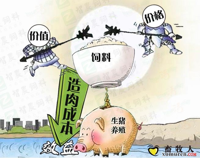 www.zhinongfeed.cn智农发酵冷制粒.jpg