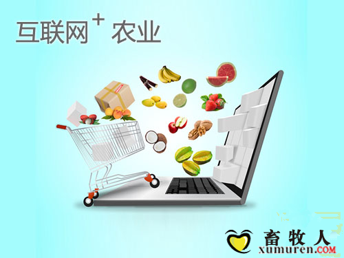 互联网_副本.png