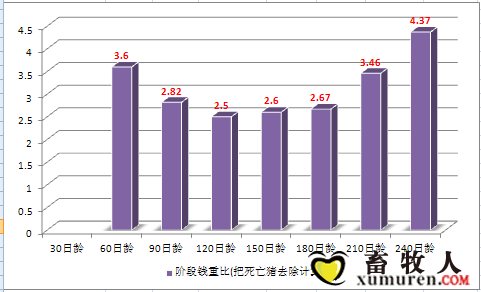 截图243.png