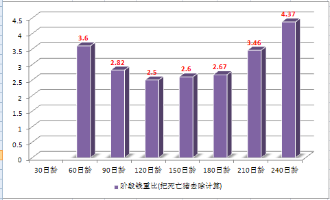 截图243.png