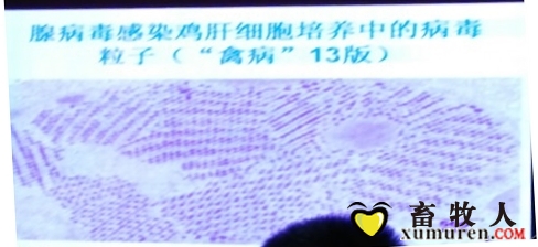 66666_看图王.jpg