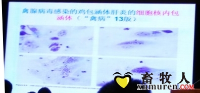 88888_看图王.jpg
