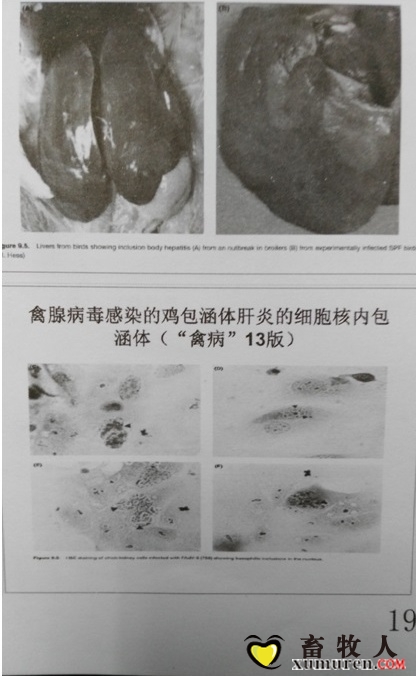 十一_看图王.jpg