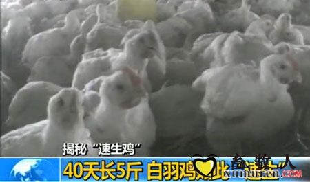 肌2.jpg