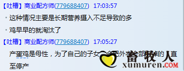 蛋鸡.png