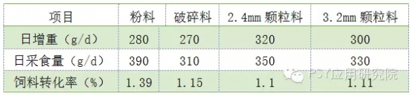 表33.webp.jpg
