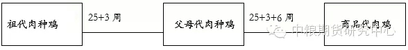 11.webp.jpg