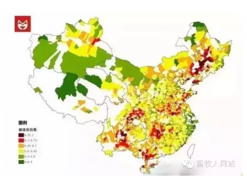 全国养猪100强县公布，辽宁省包揽16个名额 5省无一上榜