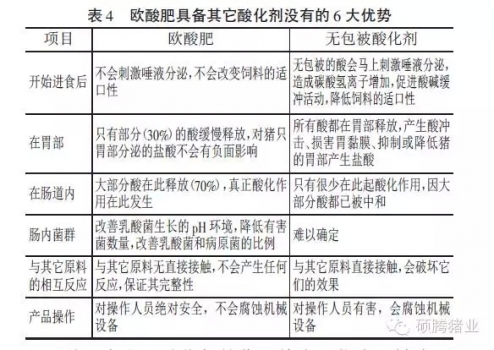 说10.webp.jpg
