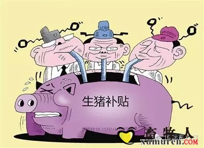 生猪补贴.webp.jpg