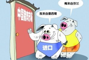 2015年山东口岸进口猪肉5.5万吨 价值7.2亿