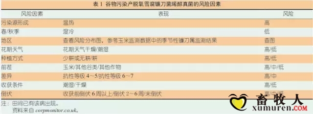 梅毒1.webp.jpg