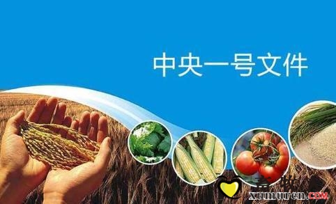 中央一号文件.JPEG